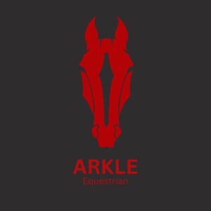 AE Fly Boots