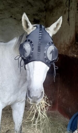 Pacifier mask with quarter blinkers